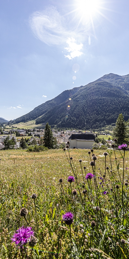 Zernez