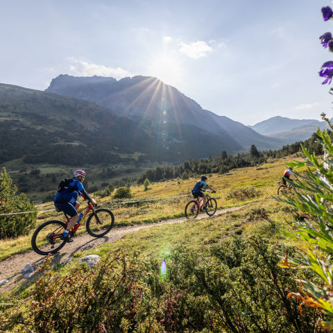 Recreation mountain bike hot sale