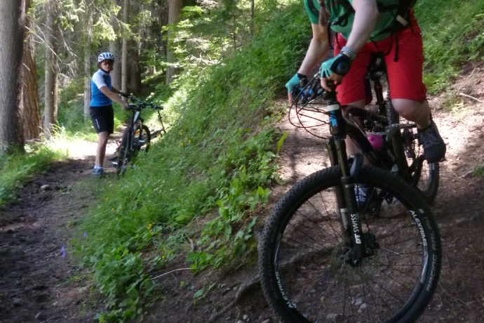Alptrails